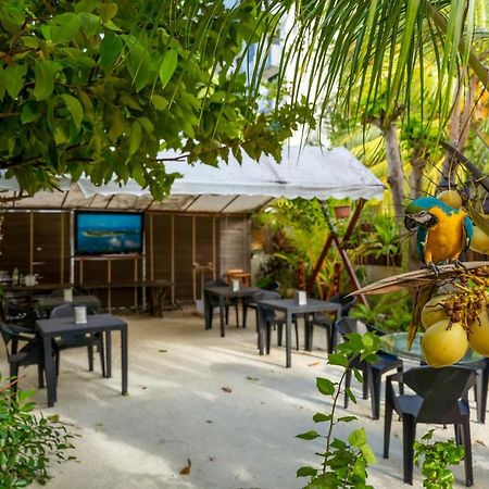 Daisy Cottage Dhangethi Exterior photo