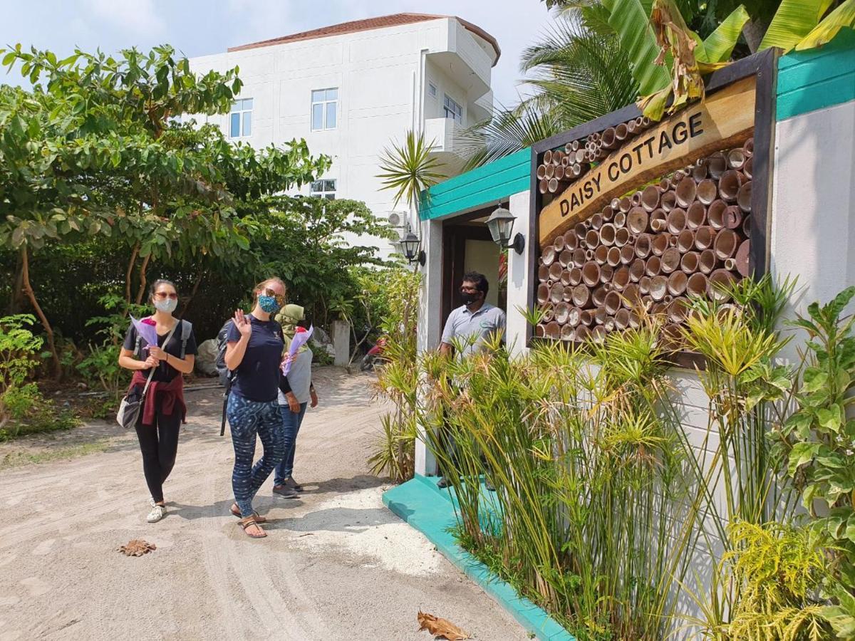 Daisy Cottage Dhangethi Exterior photo