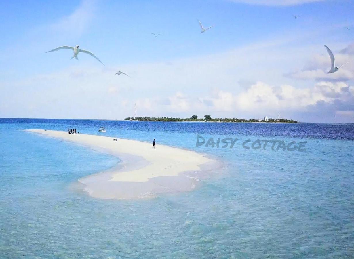 Daisy Cottage Dhangethi Exterior photo