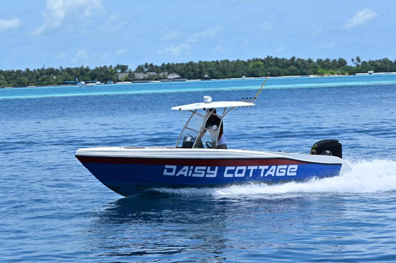 Daisy Cottage Dhangethi Exterior photo