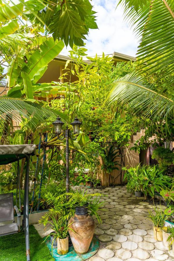 Daisy Cottage Dhangethi Exterior photo